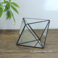 Serre Balcon Verre Jardin Fleurs Cube Terrarium